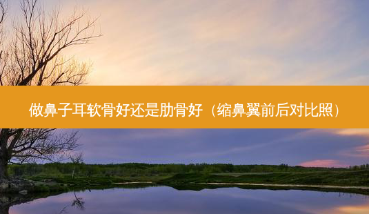 做鼻子耳软骨好还是肋骨好(缩鼻翼前后对比照)-第1张图片-美选资讯网 做鼻子耳软骨好还是肋骨好(缩鼻翼前后对比照)-第1张图片-美选资讯网
