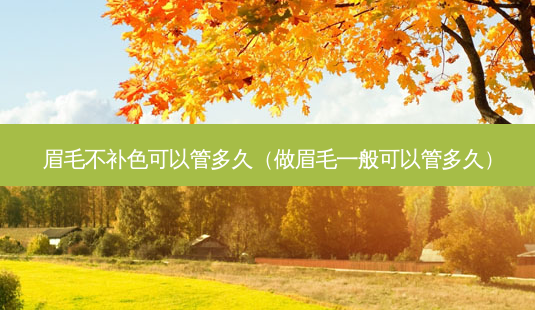 眉毛不补色可以管多久(做眉毛一般可以管多久)-第1张图片-美选资讯网 眉毛不补色可以管多久(做眉毛一般可以管多久)-第1张图片-美选资讯网