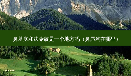 鼻基底和法令纹是一个地方吗(鼻唇沟在哪里)-第1张图片-美选资讯网 鼻基底和法令纹是一个地方吗(鼻唇沟在哪里)-第1张图片-美选资讯网