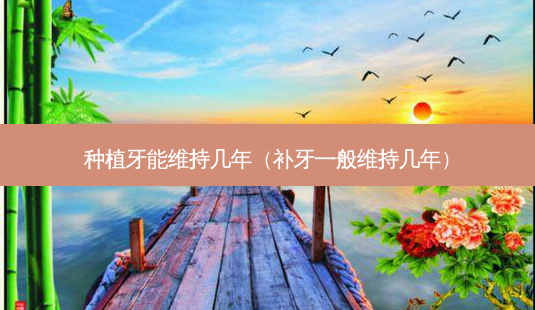 种植牙能维持几年(补牙一般维持几年)-第1张图片-美选资讯网 种植牙能维持几年(补牙一般维持几年)-第1张图片-美选资讯网