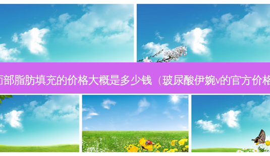 面部脂肪填充的价格大概是多少钱(玻尿酸伊婉v的官方价格)-第1张图片-美选资讯网 面部脂肪填充的价格大概是多少钱(玻尿酸伊婉v的官方价格)-第1张图片-美选资讯网