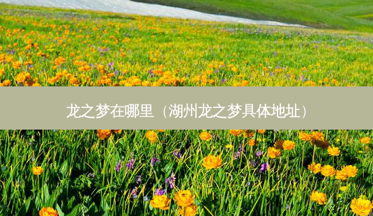 龙之梦在哪里(湖州龙之梦具体地址)-第1张图片-美选资讯网 龙之梦在哪里(湖州龙之梦具体地址)-第1张图片-美选资讯网