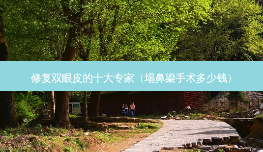 修复双眼皮的十大专家(塌鼻梁手术多少钱)-第1张图片-美选资讯网 修复双眼皮的十大专家(塌鼻梁手术多少钱)-第1张图片-美选资讯网