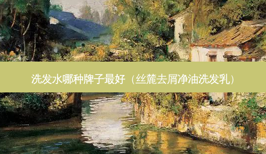 洗发水哪种牌子好(丝麓去屑净油洗发乳)-第1张图片-美选资讯网 洗发水哪种牌子好(丝麓去屑净油洗发乳)-第1张图片-美选资讯网