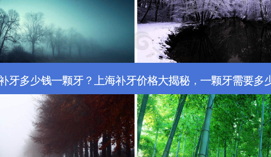 上海补牙多少钱一颗牙?上海补牙价格大揭秘,一颗牙需要多少钱?-第1张图片-美选资讯网 上海补牙多少钱一颗牙?上海补牙价格大揭秘,一颗牙需要多少钱?-第1张图片-美选资讯网
