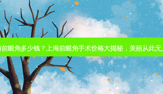 上海前眼角多少钱?上海前眼角手术价格大揭秘,美丽从此无上限-第1张图片-美选资讯网 上海前眼角多少钱?上海前眼角手术价格大揭秘,美丽从此无上限-第1张图片-美选资讯网