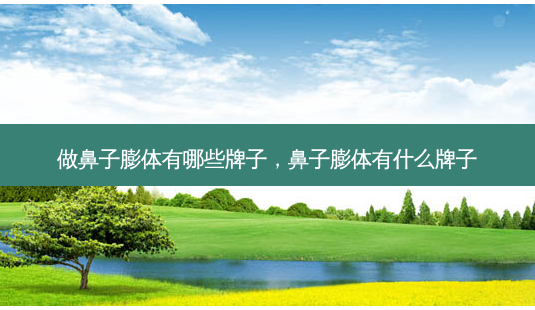 做鼻子膨体有哪些牌子,鼻子膨体有什么牌子-第1张图片-美选资讯网 做鼻子膨体有哪些牌子,鼻子膨体有什么牌子-第1张图片-美选资讯网