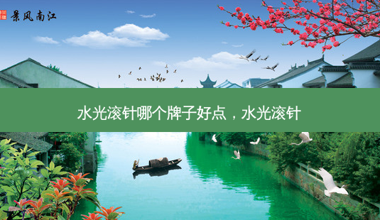 水光滚针哪个牌子好点,水光滚针-第1张图片-美选资讯网 水光滚针哪个牌子好点,水光滚针-第1张图片-美选资讯网