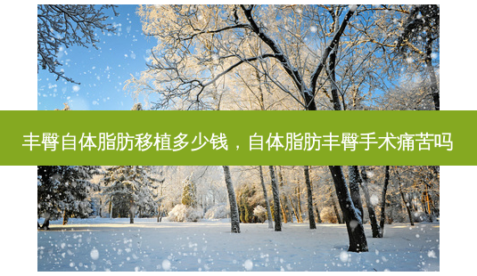 丰臀自体脂肪移植多少钱,自体脂肪丰臀手术痛苦吗-第1张图片-美选资讯网 丰臀自体脂肪移植多少钱,自体脂肪丰臀手术痛苦吗-第1张图片-美选资讯网
