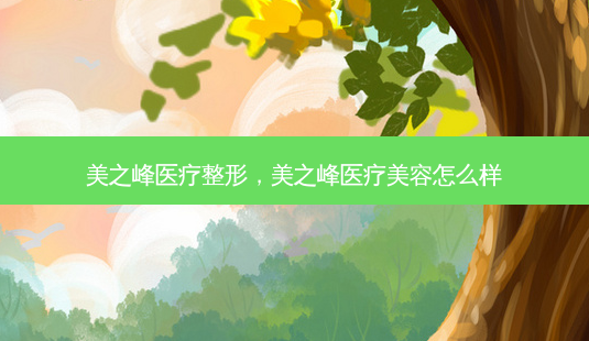 美之峰医疗整形,美之峰医疗美容怎么样-第1张图片-美选资讯网 美之峰医疗整形,美之峰医疗美容怎么样-第1张图片-美选资讯网