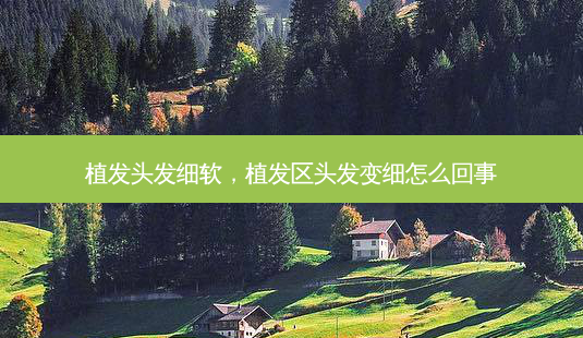 植发头发细软,植发区头发变细怎么回事-第1张图片-美选资讯网 植发头发细软,植发区头发变细怎么回事-第1张图片-美选资讯网
