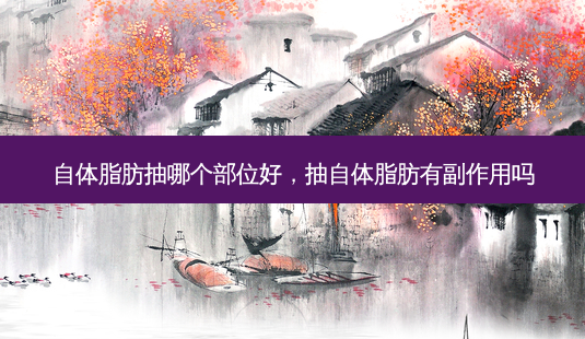 自体脂肪抽哪个部位好,抽自体脂肪有副作用吗-第1张图片-美选资讯网 自体脂肪抽哪个部位好,抽自体脂肪有副作用吗-第1张图片-美选资讯网