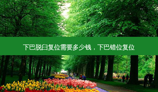 下巴脱臼复位需要多少钱,下巴错位复位-第1张图片-美选资讯网 下巴脱臼复位需要多少钱,下巴错位复位-第1张图片-美选资讯网