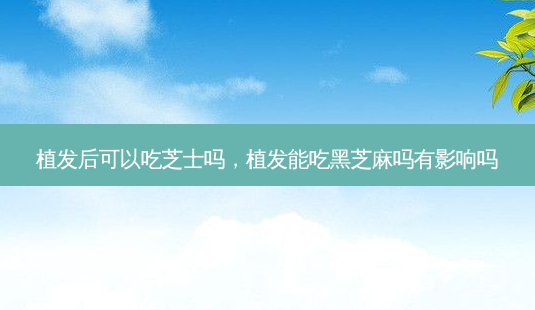 植发后可以吃芝士吗,植发能吃黑芝麻吗有影响吗-第1张图片-美选资讯网 植发后可以吃芝士吗,植发能吃黑芝麻吗有影响吗-第1张图片-美选资讯网