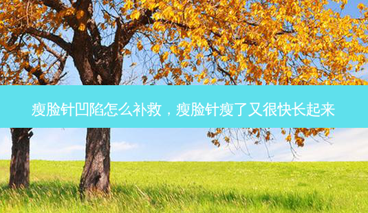 瘦脸针凹陷怎么补救,瘦脸针瘦了又很快长起来-第1张图片-美选资讯网 瘦脸针凹陷怎么补救,瘦脸针瘦了又很快长起来-第1张图片-美选资讯网