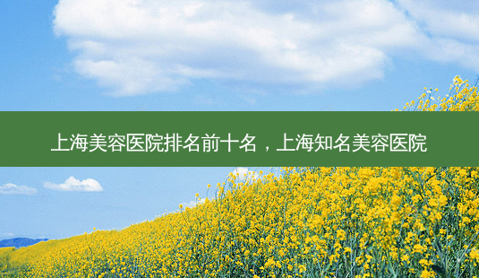 上海美容医院排名前十名,上海知名美容医院-第1张图片-美选资讯网 上海美容医院排名前十名,上海知名美容医院-第1张图片-美选资讯网