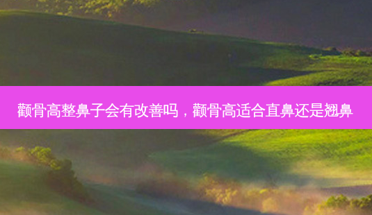 颧骨高整鼻子会有改善吗,颧骨高适合直鼻还是翘鼻-第1张图片-美选资讯网 颧骨高整鼻子会有改善吗,颧骨高适合直鼻还是翘鼻-第1张图片-美选资讯网