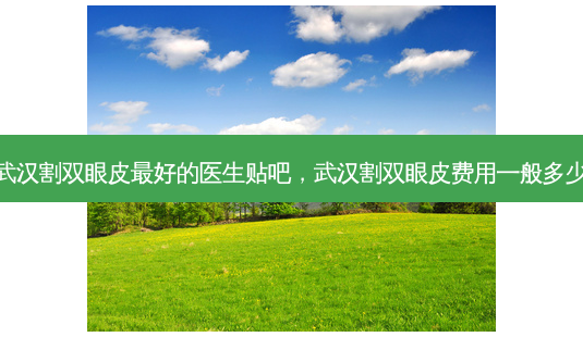 武汉割双眼皮 *** 的医生贴吧,武汉割双眼皮费用一般多少-第1张图片-美选资讯网 武汉割双眼皮 *** 的医生贴吧,武汉割双眼皮费用一般多少-第1张图片-美选资讯网