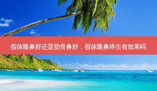 假体隆鼻好还是肋骨鼻好,假体隆鼻终生有效果吗-第1张图片-美选资讯网 假体隆鼻好还是肋骨鼻好,假体隆鼻终生有效果吗-第1张图片-美选资讯网