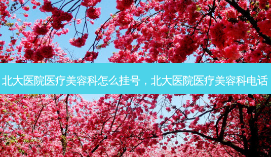 北大医院医疗美容科怎么挂号,北大医院医疗美容科 *** -第1张图片-美选资讯网 北大医院医疗美容科怎么挂号,北大医院医疗美容科 *** -第1张图片-美选资讯网