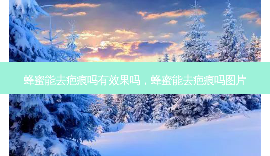 蜂蜜能去疤痕吗有效果吗,蜂蜜能去疤痕吗图片-第1张图片-美选资讯网 蜂蜜能去疤痕吗有效果吗,蜂蜜能去疤痕吗图片-第1张图片-美选资讯网