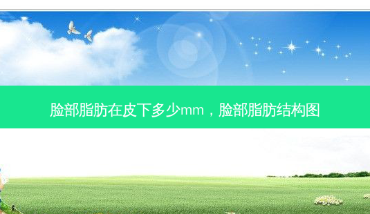 脸部脂肪在皮下多少mm,脸部脂肪结构图-第1张图片-美选资讯网 脸部脂肪在皮下多少mm,脸部脂肪结构图-第1张图片-美选资讯网