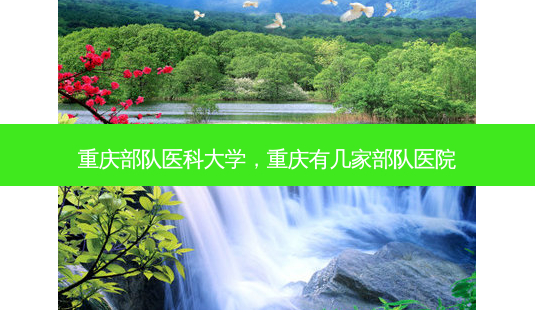 重庆部队医科大学,重庆有几家部队医院-第1张图片-美选资讯网 重庆部队医科大学,重庆有几家部队医院-第1张图片-美选资讯网