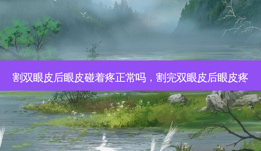割双眼皮后眼皮碰着疼正常吗,割完双眼皮后眼皮疼-第1张图片-美选资讯网 割双眼皮后眼皮碰着疼正常吗,割完双眼皮后眼皮疼-第1张图片-美选资讯网
