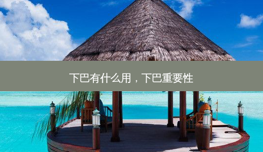 下巴有什么用,下巴重要性-第1张图片-美选资讯网 下巴有什么用,下巴重要性-第1张图片-美选资讯网
