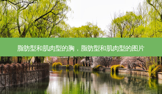 脂肪型和肌肉型的胸,脂肪型和肌肉型的图片-第1张图片-美选资讯网 脂肪型和肌肉型的胸,脂肪型和肌肉型的图片-第1张图片-美选资讯网