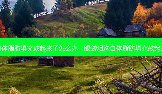 眼袋泪沟自体脂肪填充鼓起来了怎么办,眼袋泪沟自体脂肪填充鼓起来了正常吗-第1张图片-美选资讯网 眼袋泪沟自体脂肪填充鼓起来了怎么办,眼袋泪沟自体脂肪填充鼓起来了正常吗-第1张图片-美选资讯网