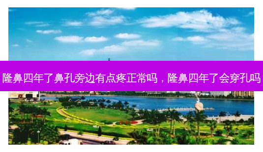 隆鼻四年了鼻孔旁边有点疼正常吗,隆鼻四年了会穿孔吗-第1张图片-美选资讯网 隆鼻四年了鼻孔旁边有点疼正常吗,隆鼻四年了会穿孔吗-第1张图片-美选资讯网