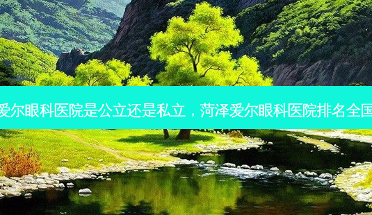菏泽爱尔眼科医院是公立还是私立,菏泽爱尔眼科医院排名全国第几-第1张图片-美选资讯网 菏泽爱尔眼科医院是公立还是私立,菏泽爱尔眼科医院排名全国第几-第1张图片-美选资讯网