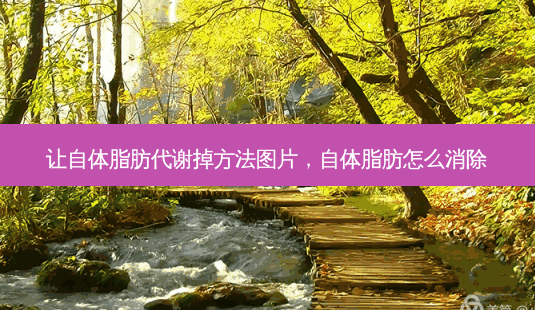 让自体脂肪代谢掉 *** 图片,自体脂肪怎么消除-第1张图片-美选资讯网 让自体脂肪代谢掉 *** 图片,自体脂肪怎么消除-第1张图片-美选资讯网