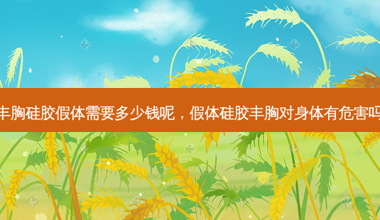 丰胸硅胶假体需要多少钱呢,假体硅胶丰胸对身体有危害吗-第1张图片-美选资讯网 丰胸硅胶假体需要多少钱呢,假体硅胶丰胸对身体有危害吗-第1张图片-美选资讯网