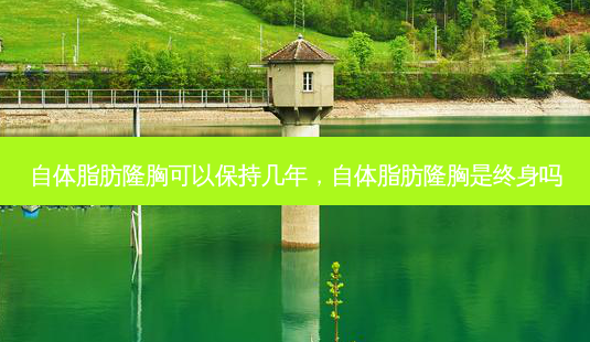 自体脂肪隆胸可以保持几年,自体脂肪隆胸是终身吗-第1张图片-美选资讯网 自体脂肪隆胸可以保持几年,自体脂肪隆胸是终身吗-第1张图片-美选资讯网