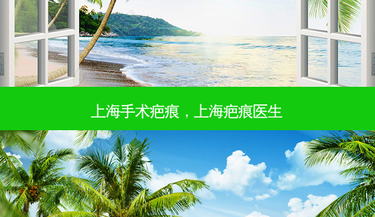 上海手术疤痕,上海疤痕医生-第1张图片-美选资讯网 上海手术疤痕,上海疤痕医生-第1张图片-美选资讯网