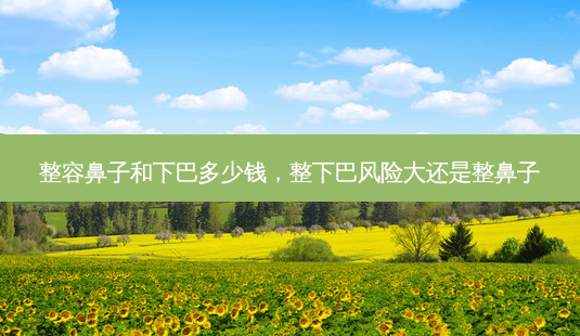 整容鼻子和下巴多少钱,整下巴风险大还是整鼻子-第1张图片-美选资讯网 整容鼻子和下巴多少钱,整下巴风险大还是整鼻子-第1张图片-美选资讯网