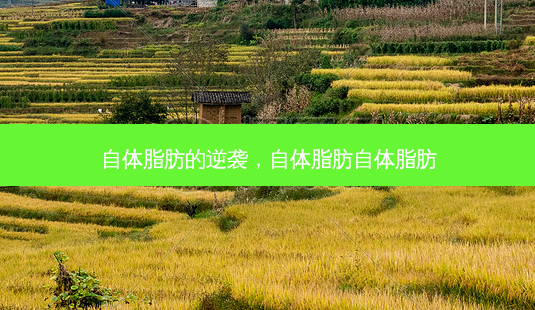 自体脂肪的逆袭,自体脂肪自体脂肪-第1张图片-美选资讯网 自体脂肪的逆袭,自体脂肪自体脂肪-第1张图片-美选资讯网