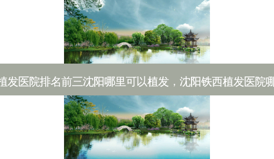 沈阳植发医院排名前三沈阳哪里可以植发,沈阳铁西植发医院哪家好-第1张图片-美选资讯网 沈阳植发医院排名前三沈阳哪里可以植发,沈阳铁西植发医院哪家好-第1张图片-美选资讯网