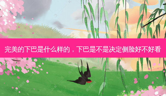 *** 的下巴是什么样的,下巴是不是决定侧脸好不好看-第1张图片-美选资讯网 *** 的下巴是什么样的,下巴是不是决定侧脸好不好看-第1张图片-美选资讯网