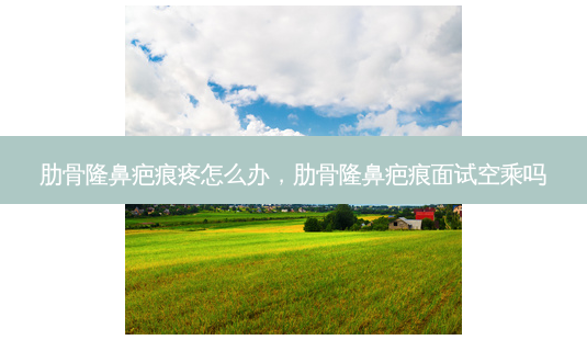 肋骨隆鼻疤痕疼怎么办,肋骨隆鼻疤痕面试空乘吗-第1张图片-美选资讯网 肋骨隆鼻疤痕疼怎么办,肋骨隆鼻疤痕面试空乘吗-第1张图片-美选资讯网