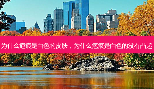 为什么疤痕是白色的皮肤,为什么疤痕是白色的没有凸起-第1张图片-美选资讯网 为什么疤痕是白色的皮肤,为什么疤痕是白色的没有凸起-第1张图片-美选资讯网