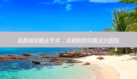 成都做双眼皮手术,成都刚割双眼皮的医院-第1张图片-美选资讯网 成都做双眼皮手术,成都刚割双眼皮的医院-第1张图片-美选资讯网