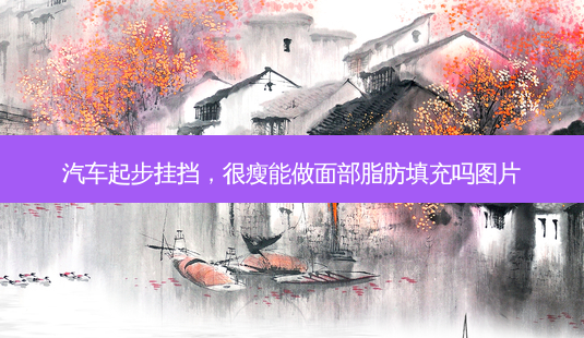 汽车起步挂挡,很瘦能做面部脂肪填充吗图片-第1张图片-美选资讯网 汽车起步挂挡,很瘦能做面部脂肪填充吗图片-第1张图片-美选资讯网