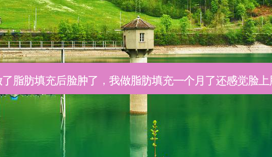 我做了脂肪填充后脸肿了,我做脂肪填充一个月了还感觉脸上胀痛-第1张图片-美选资讯网 我做了脂肪填充后脸肿了,我做脂肪填充一个月了还感觉脸上胀痛-第1张图片-美选资讯网