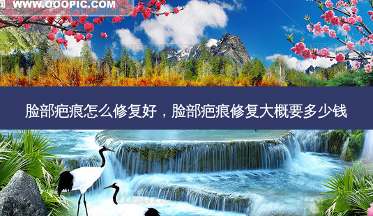 脸部疤痕怎么修复好,脸部疤痕修复大概要多少钱-第1张图片-美选资讯网 脸部疤痕怎么修复好,脸部疤痕修复大概要多少钱-第1张图片-美选资讯网