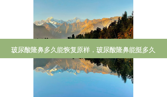玻尿酸隆鼻多久能恢复原样,玻尿酸隆鼻能挺多久-第1张图片-美选资讯网 玻尿酸隆鼻多久能恢复原样,玻尿酸隆鼻能挺多久-第1张图片-美选资讯网