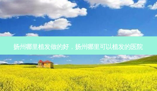 扬州哪里植发做的好,扬州哪里可以植发的医院-第1张图片-美选资讯网 扬州哪里植发做的好,扬州哪里可以植发的医院-第1张图片-美选资讯网