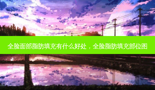 全脸面部脂肪填充有什么好处,全脸脂肪填充部位图-第1张图片-美选资讯网 全脸面部脂肪填充有什么好处,全脸脂肪填充部位图-第1张图片-美选资讯网